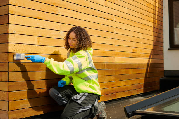 Affordable Siding Repair and Maintenance Services in Rolla, MO